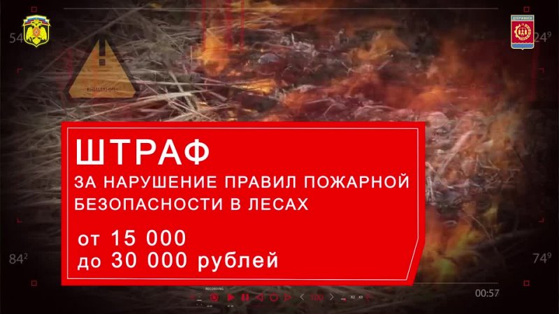 На территории городского округа Дзержинск установлен высокий 5-й класс пожарной опасности лесов и торфяников